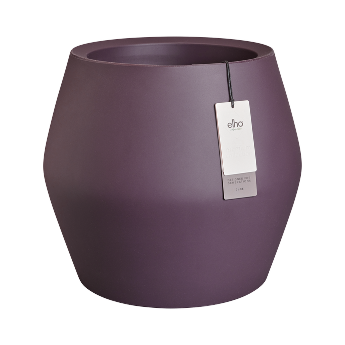 june split low 46cm vintage plum